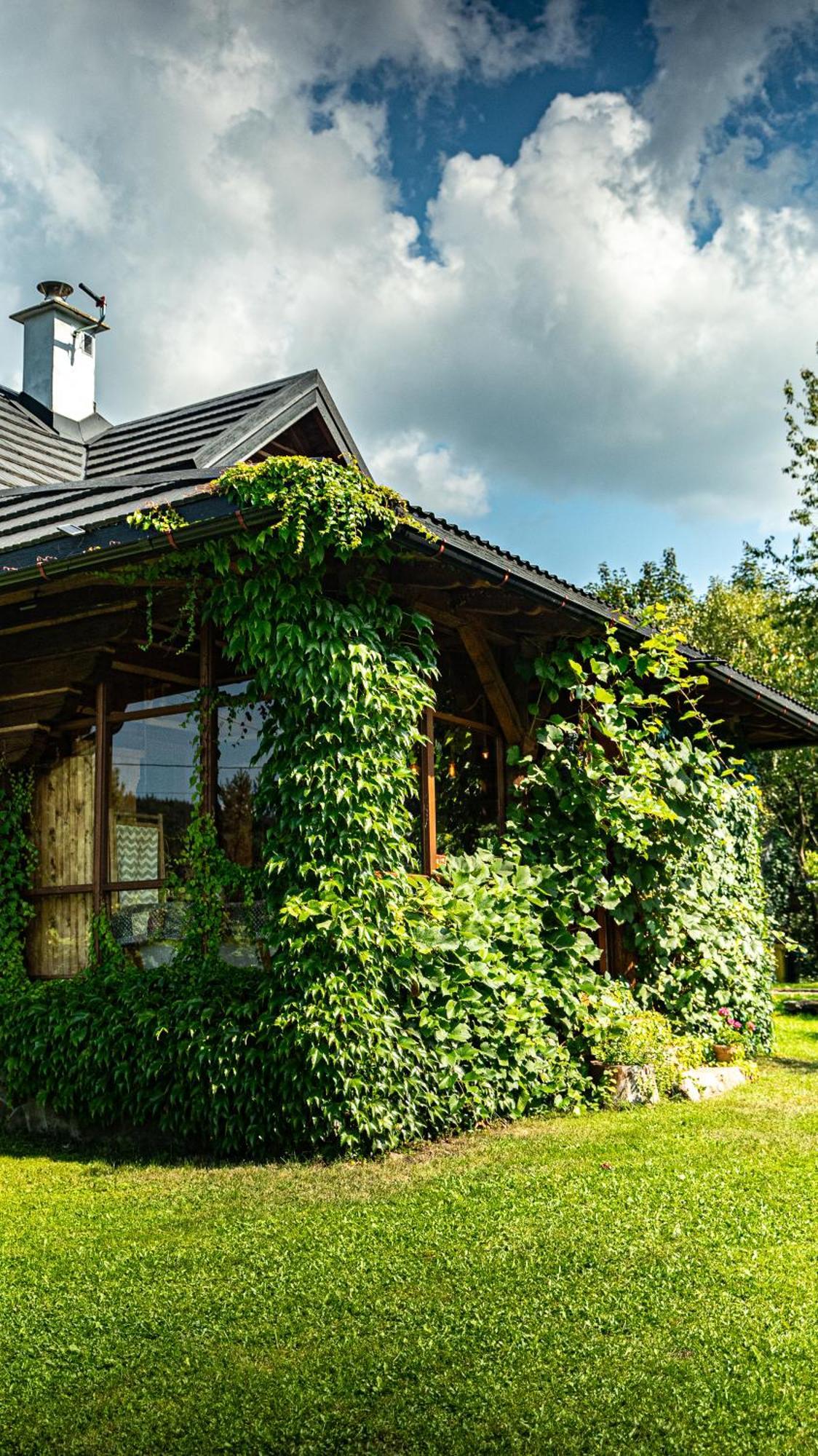 Wapienne Domek Sekowa Exteriör bild